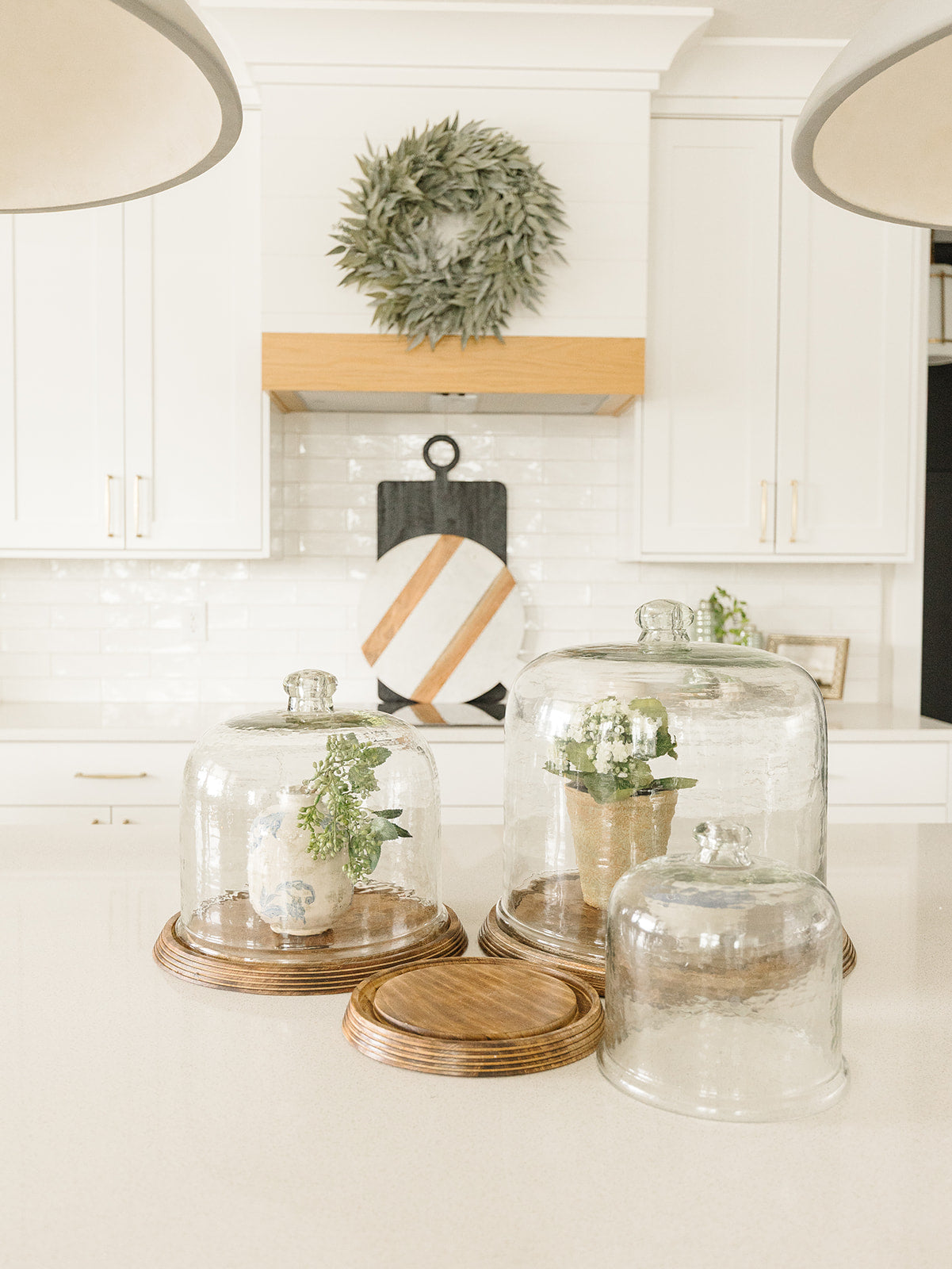Wavy Glass Cloches with Wood Base - 3 Sizes