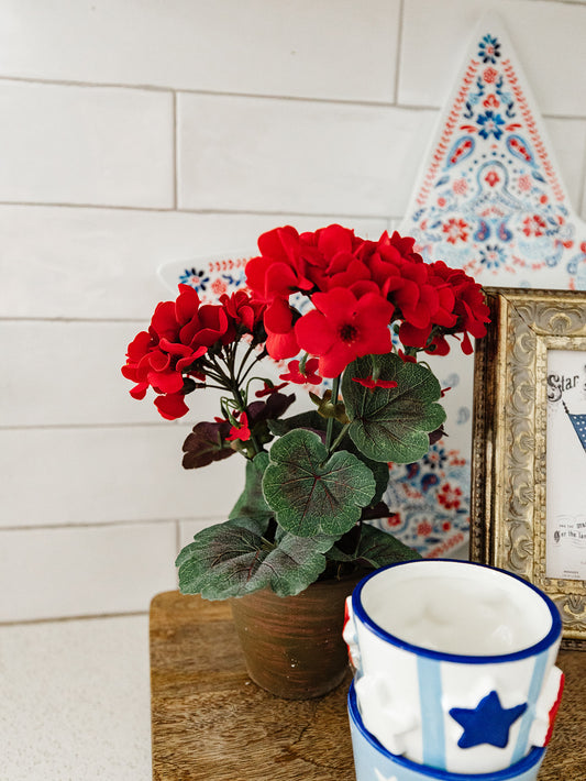 Red Geranium in Clay Pot