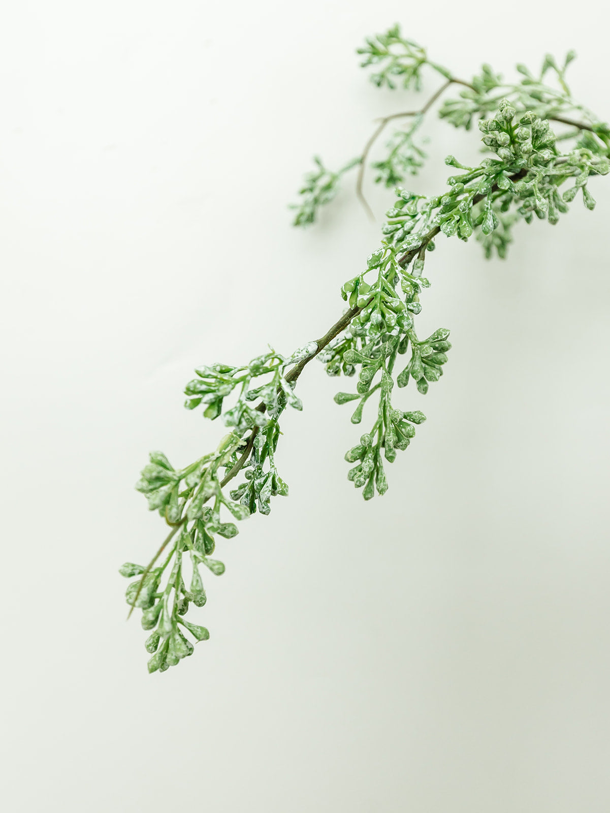 Powdered Green Eucalyptus Berry Bud Spray - 31"