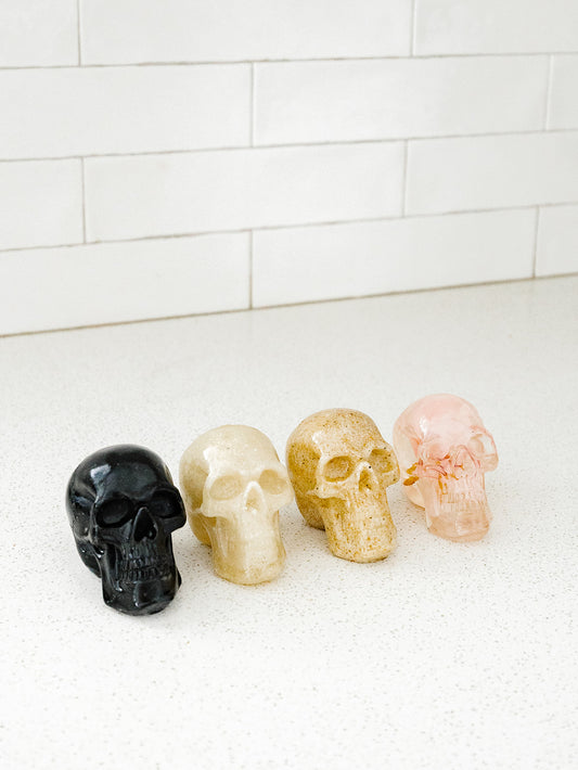 Boxed Set of 4 Skulls - Multi Colors -