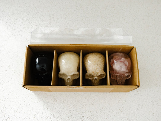 Boxed Set of 4 Skulls - Multi Colors -