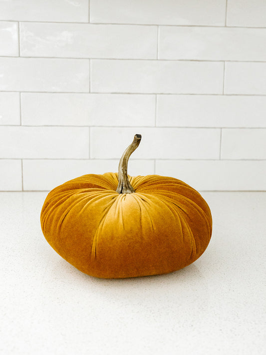 Gold Velvet Pumpkin - 2 Sizes