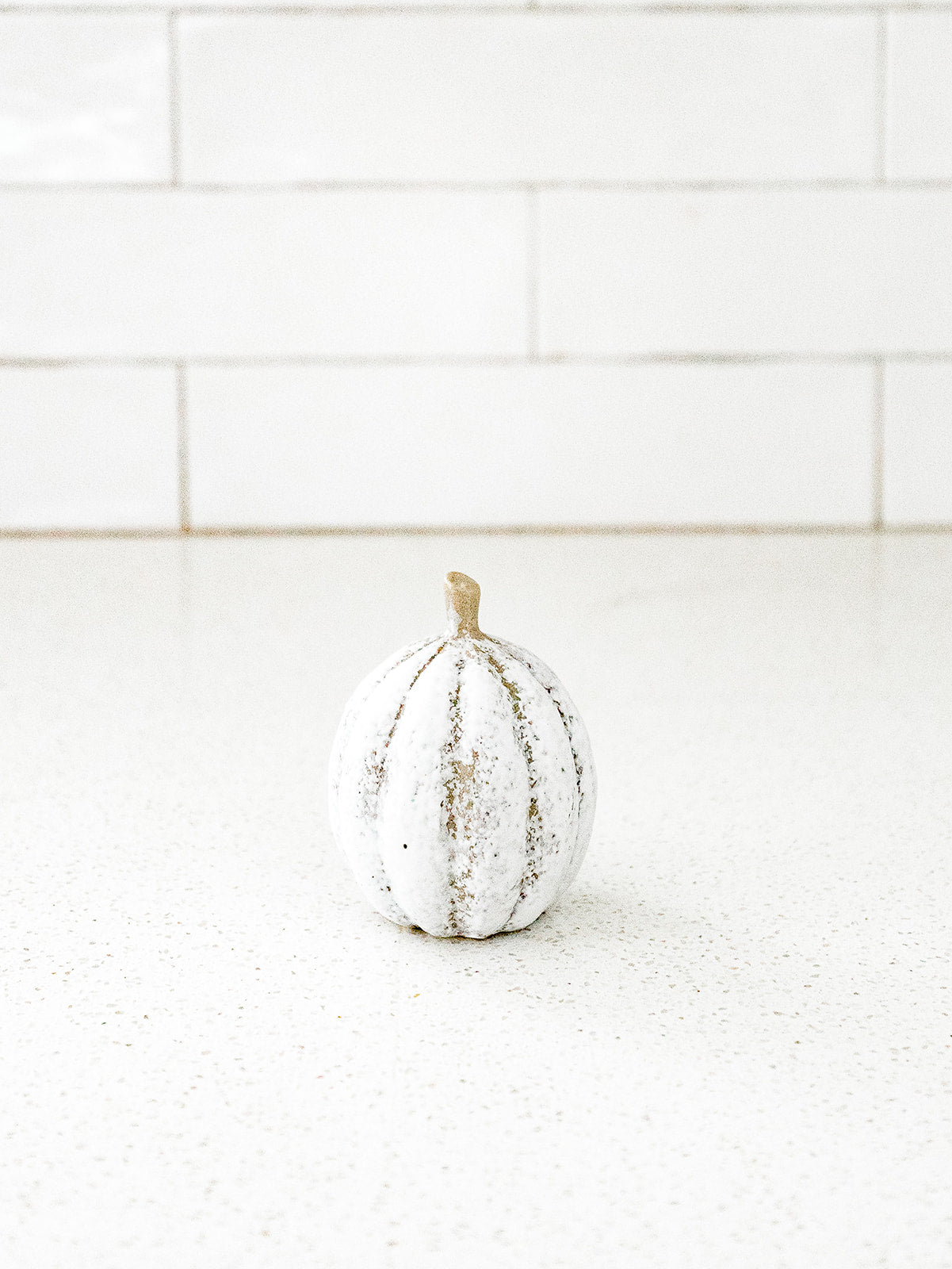Pumpkin Patch Set of 2 - Grey