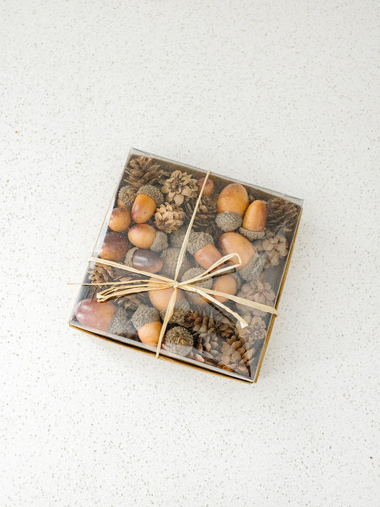 Box of 24 Assorted Acorns and Pinecones