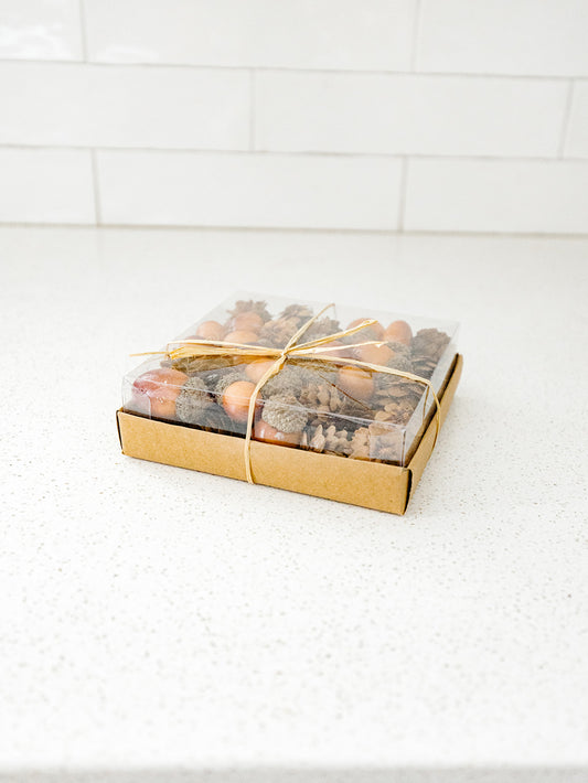 Box of 24 Assorted Acorns and Pinecones