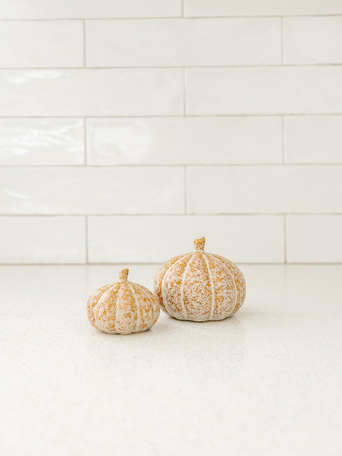 Orange Pumpkin Patch - Set of 2