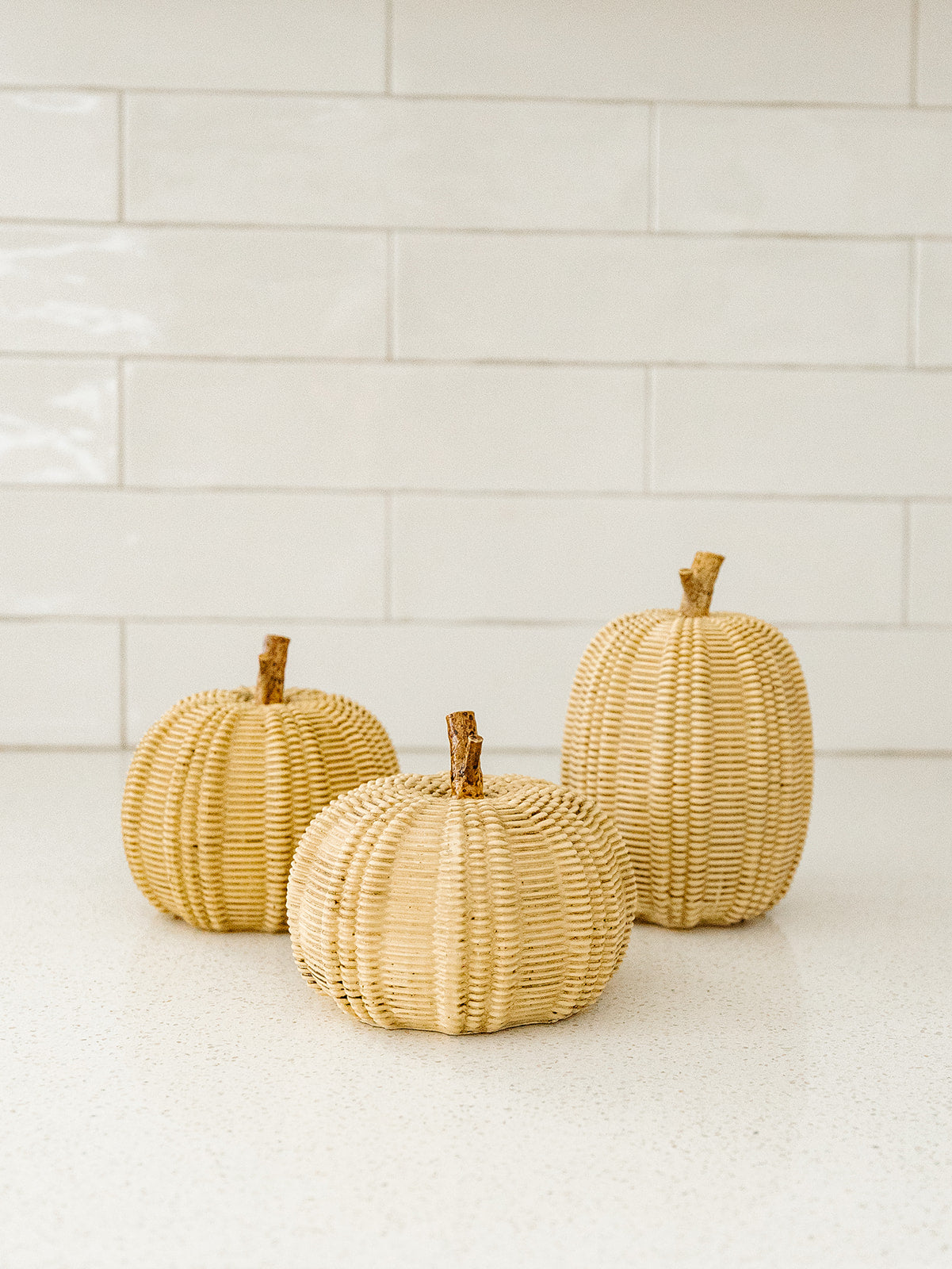 Taupe Pumpkin - 3 Styles