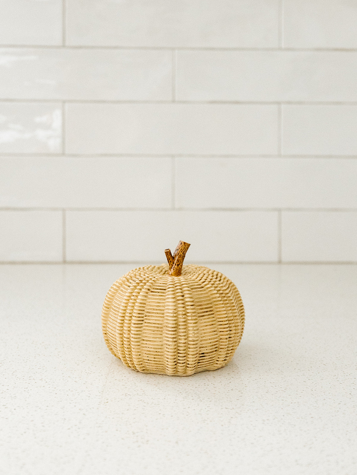 Taupe Pumpkin - 3 Styles