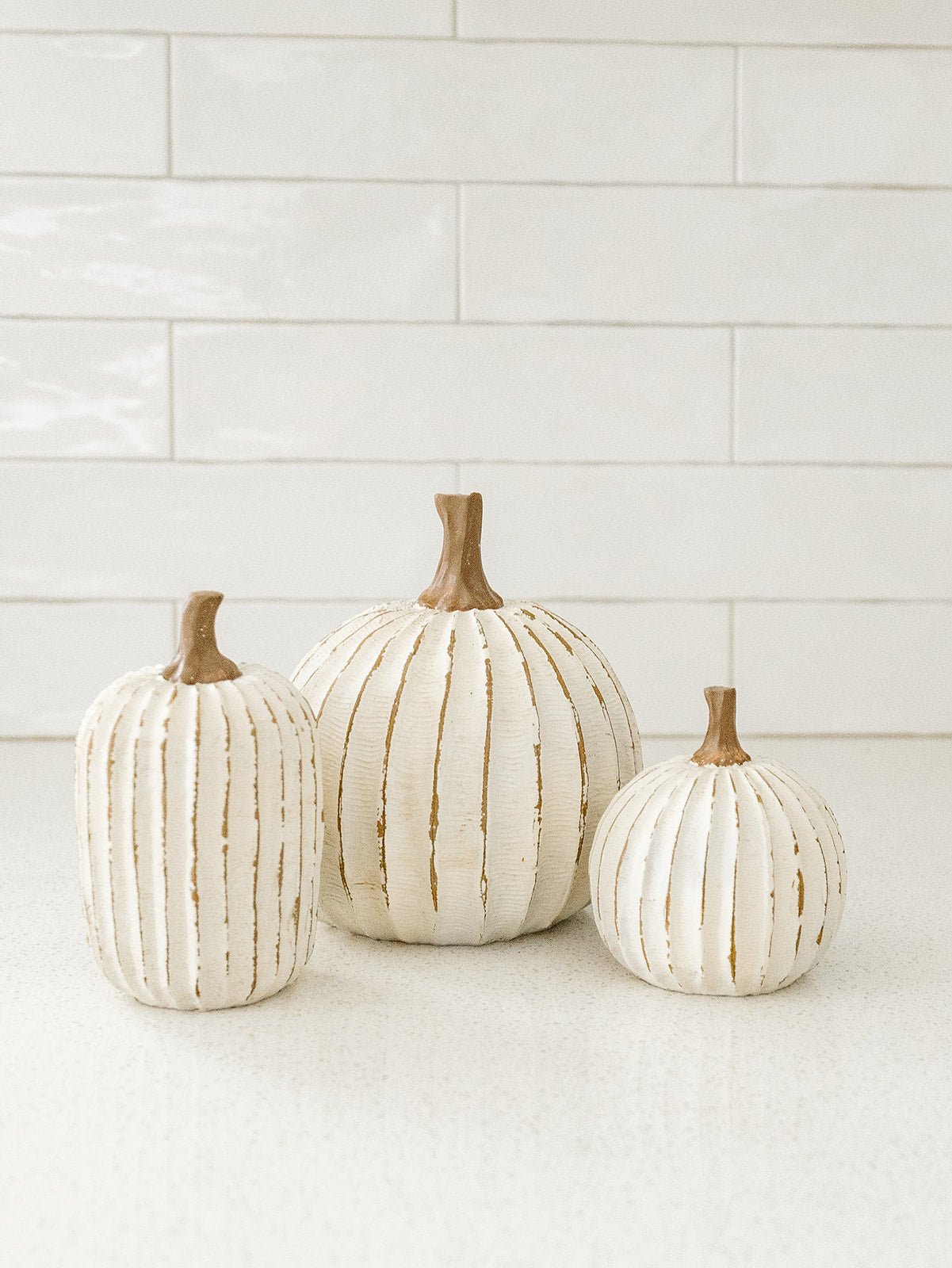 Whitewashed Pumpkin - 3 Sizes