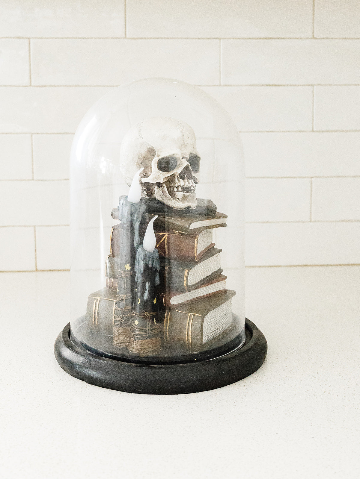Cloche Skull on Books with LED Candles - Local pick up only on this item