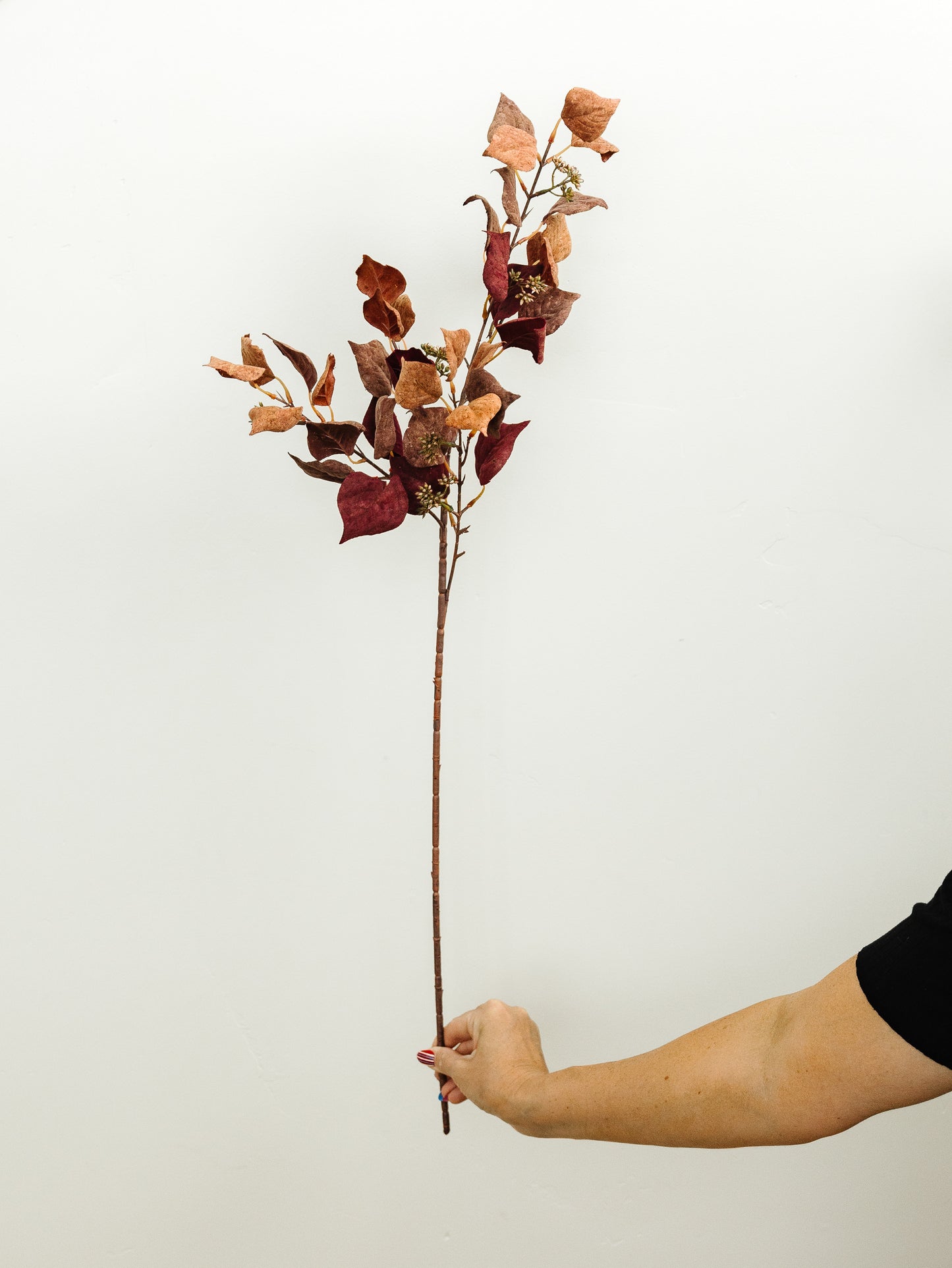Burgundy & Rust Silver Dollar Eucalyptus - 38"