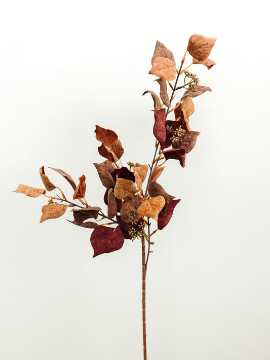 Burgundy & Rust Silver Dollar Eucalyptus - 38"