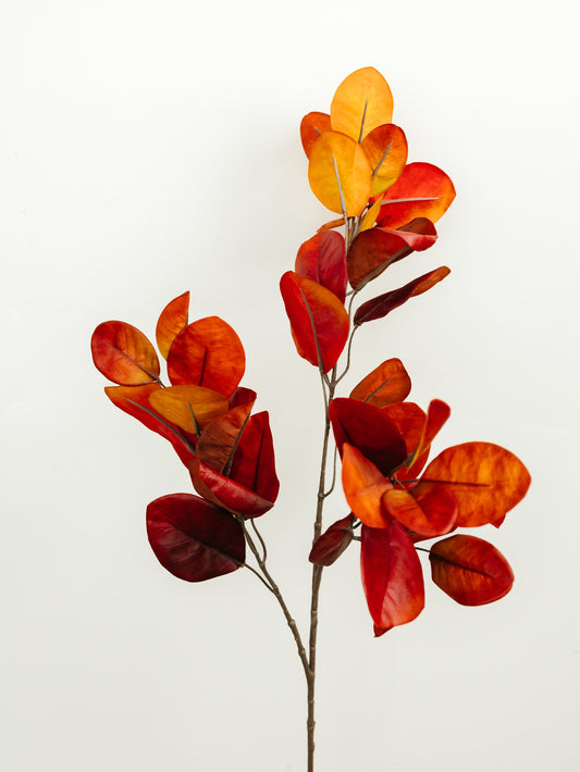 Cotinus Leaf Spray - 37"