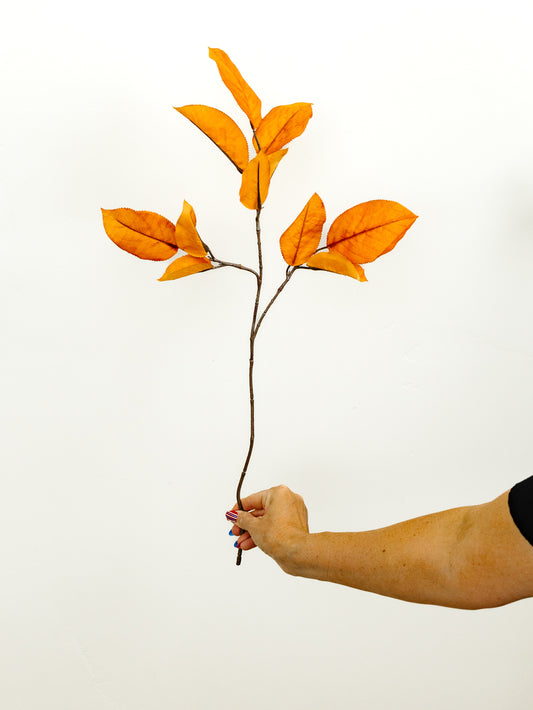 Mulberry Leaf Spray - 27"