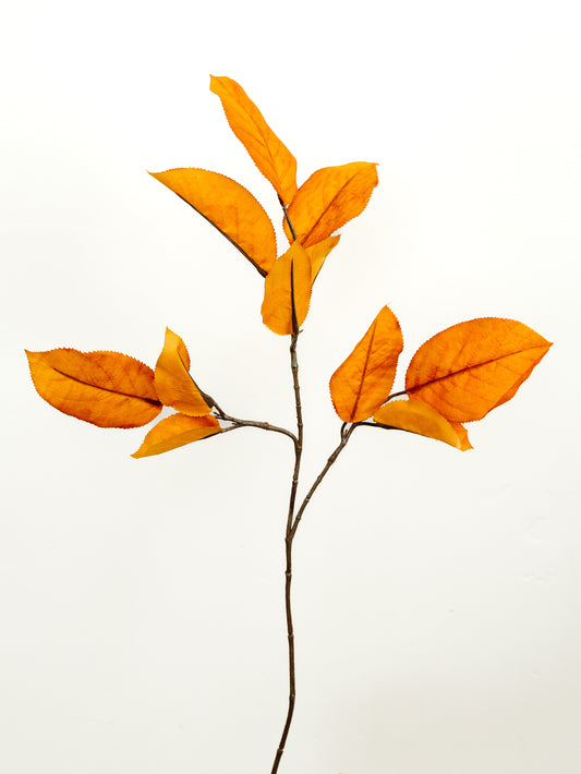 Mulberry Leaf Spray - 27"