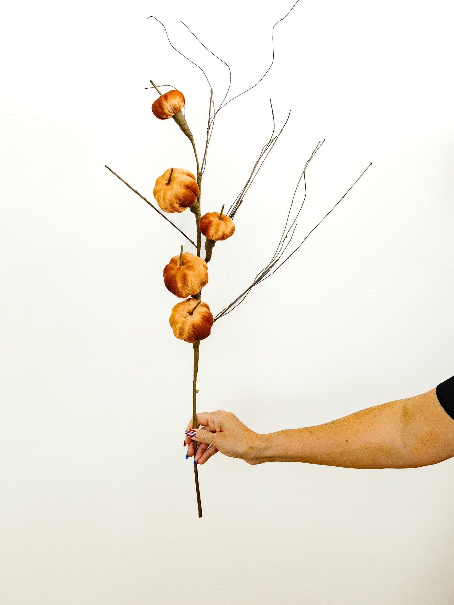 Light Brown Velvet Pumpkin Stem - 38"