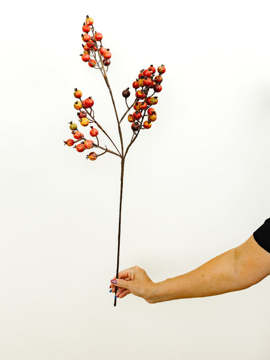 Crab Apple Stem - 32"