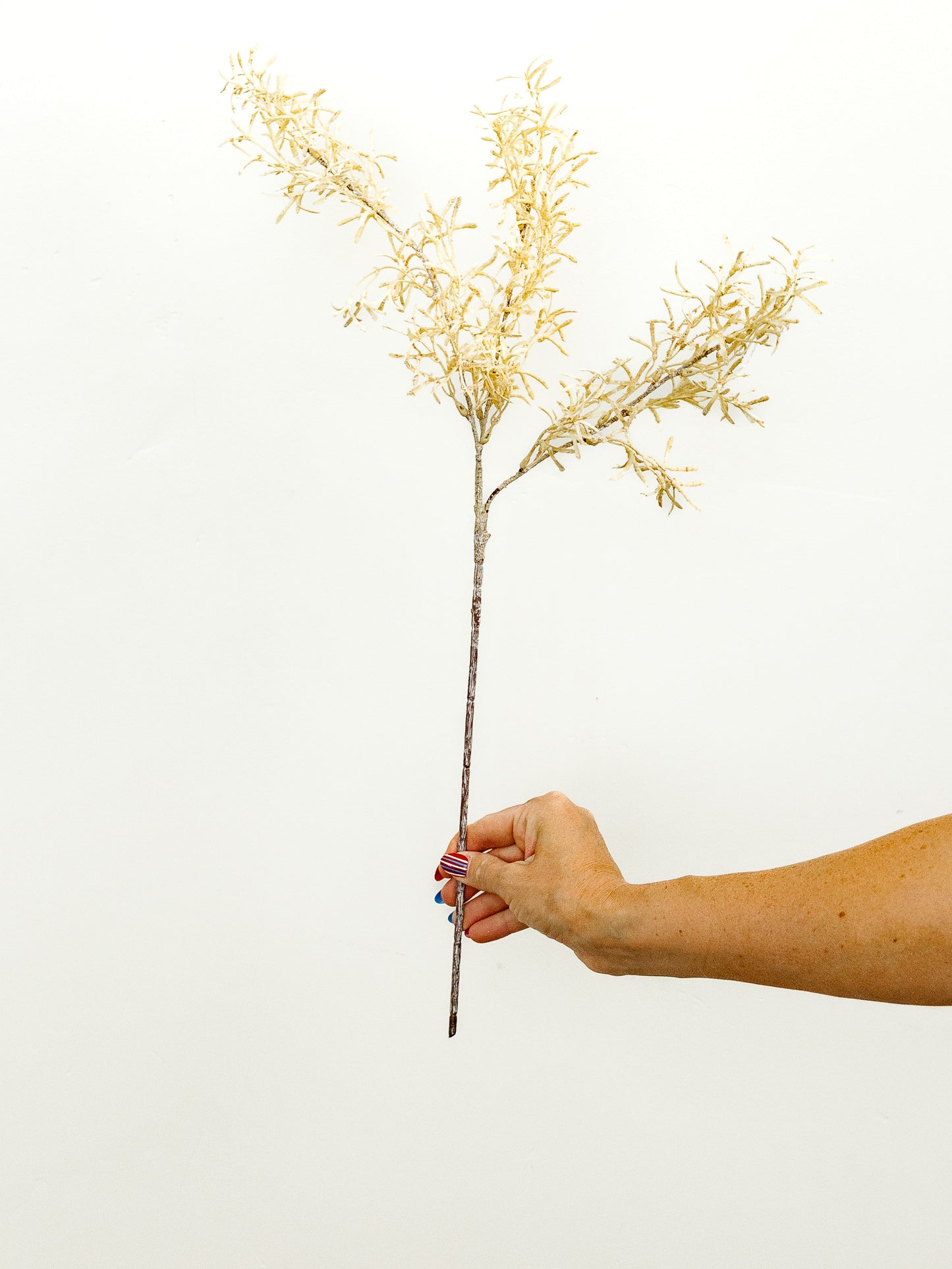 Fall Grass Spray