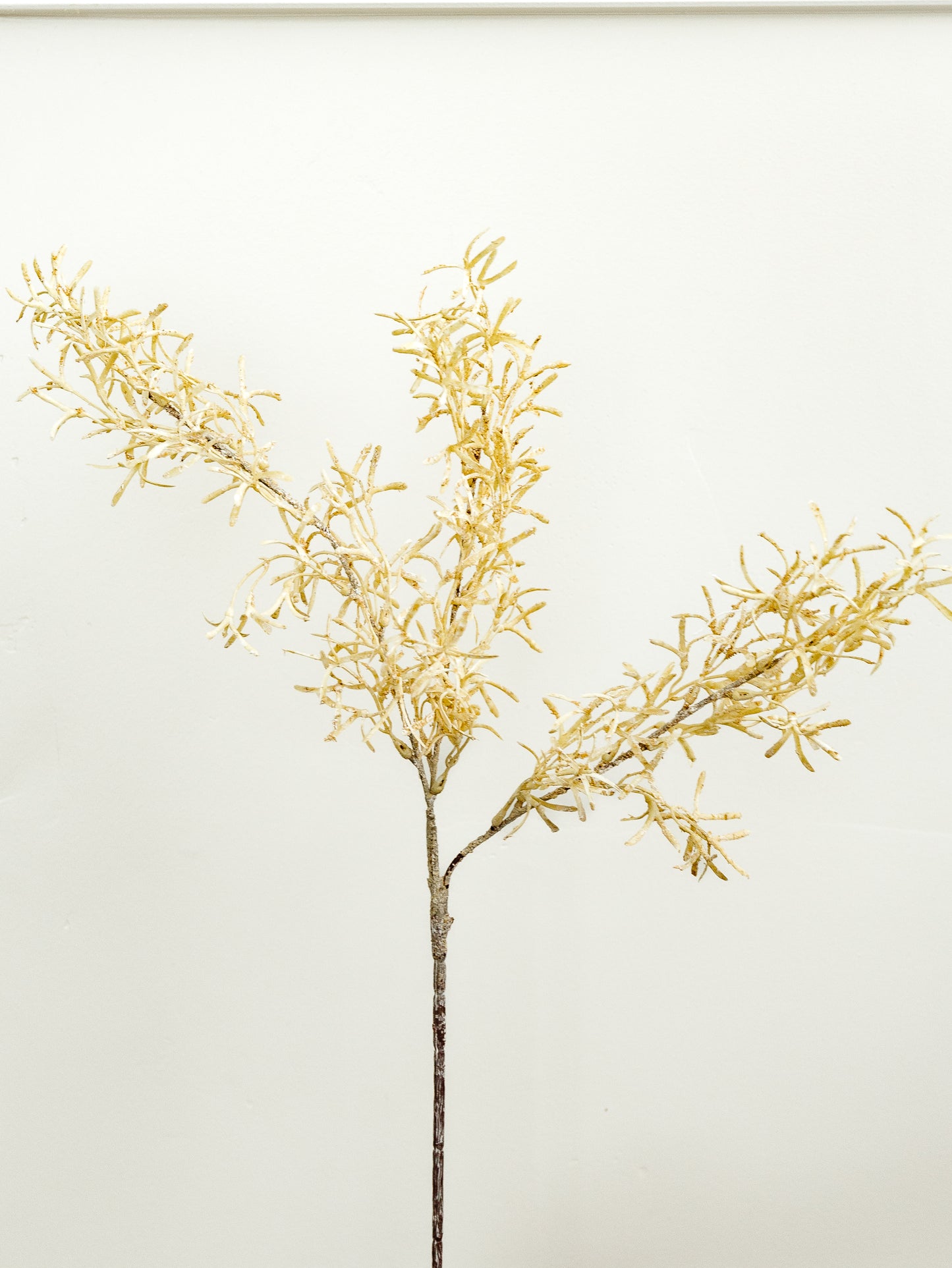 Fall Grass Spray
