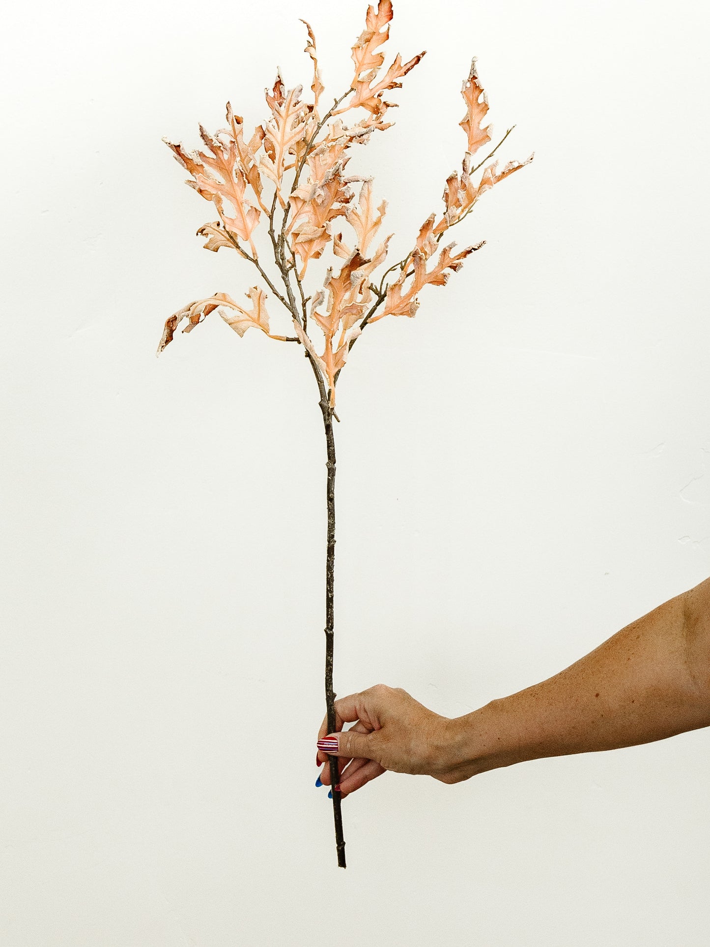 Dried Oak Leaf Spray - 31"