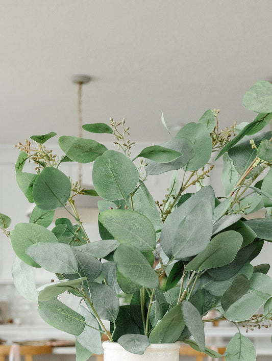 Eucalyptus Stem with Berries- 40"