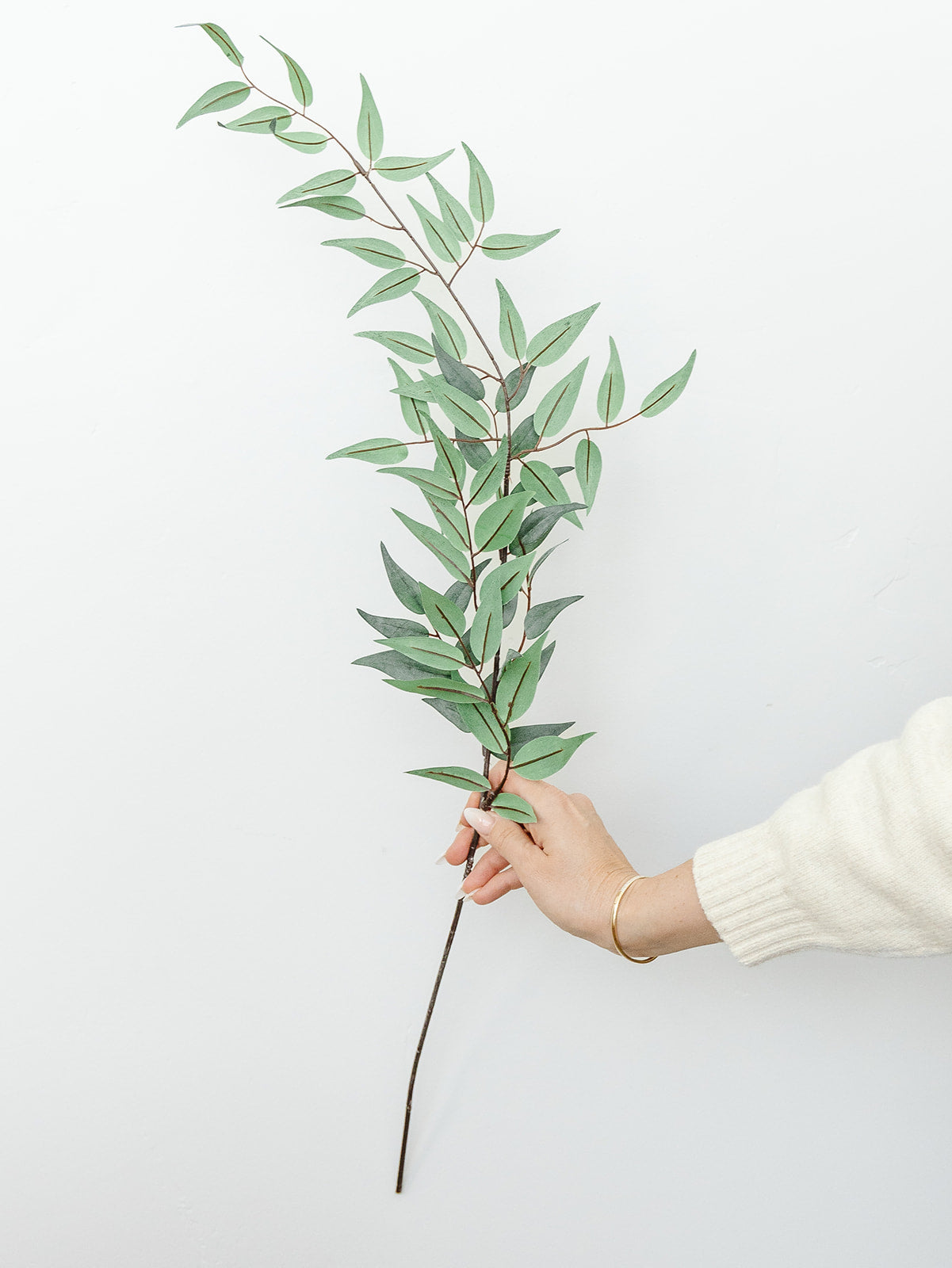 Antiqued Ruscus Leaf Stem-36"