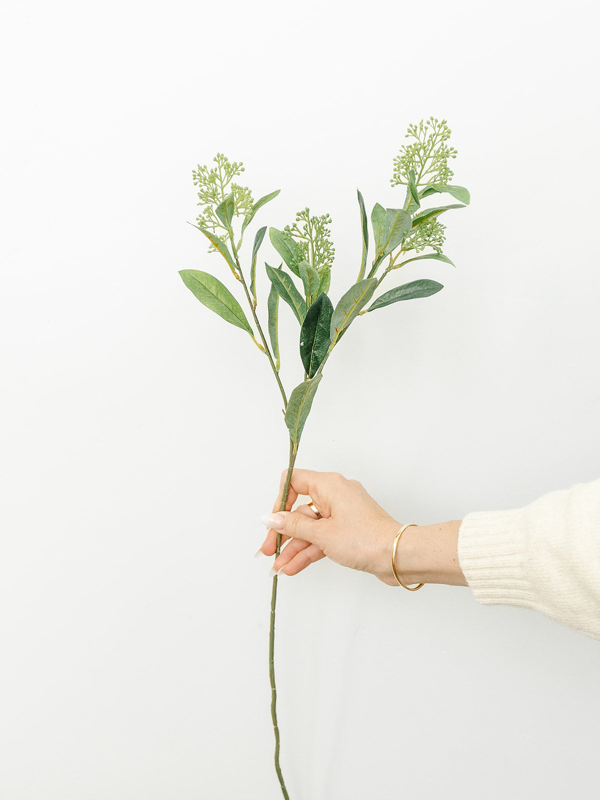 Skimmia Spray - 28"