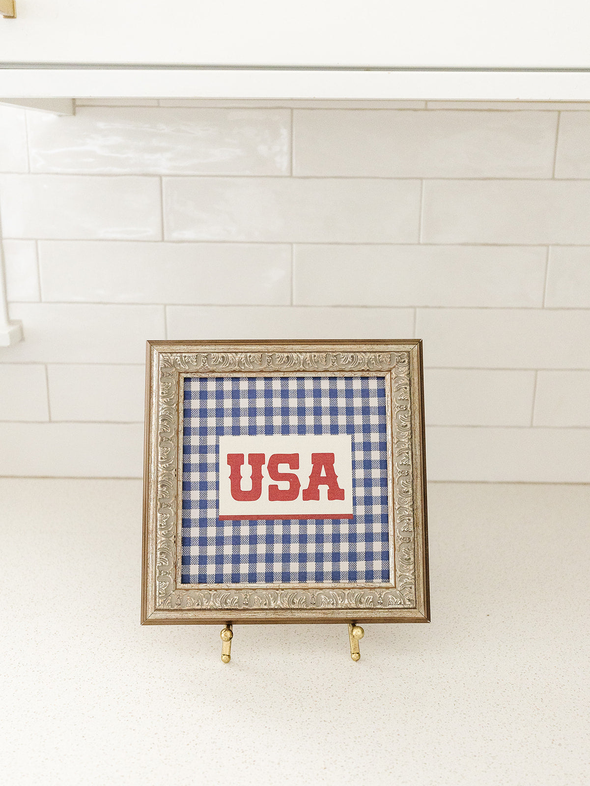 USA Framed Art