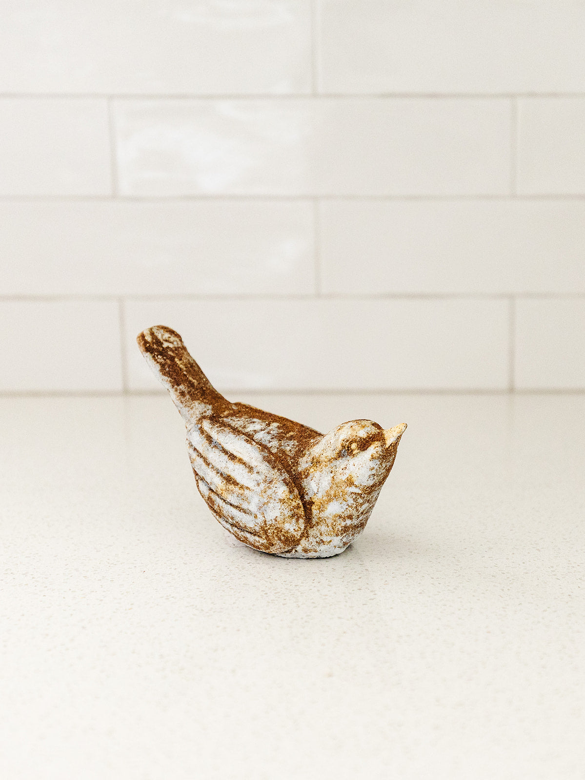 Distressed Bird