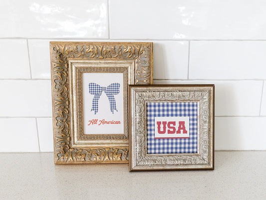 USA Framed Art - patriotic art