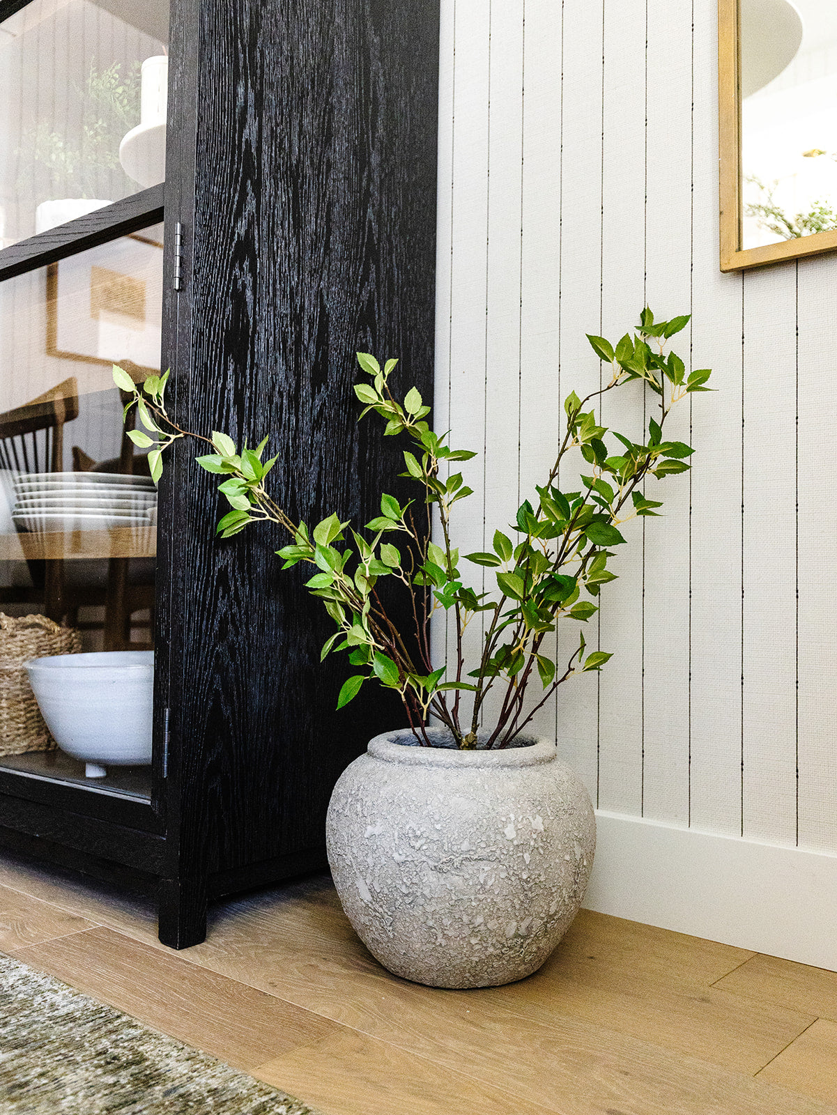 Cornus Tree - 33"