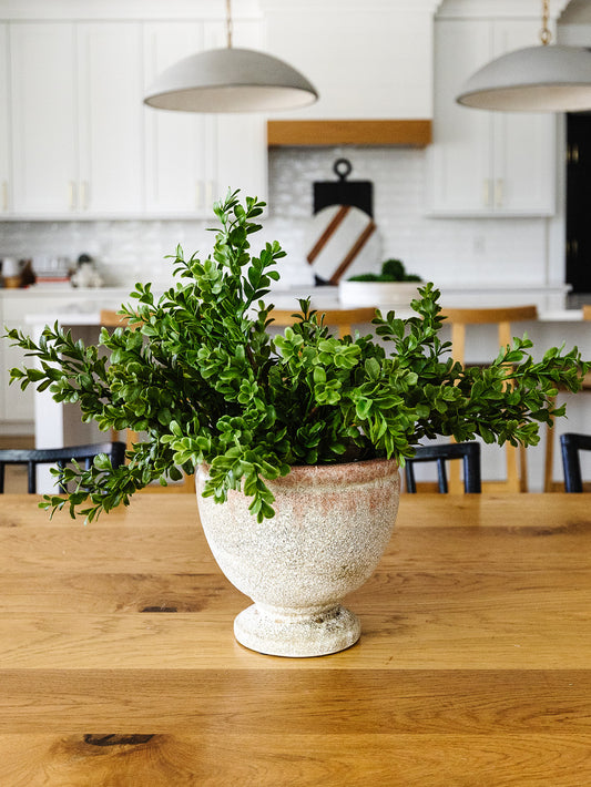 Real Touch Boxwood - 18"