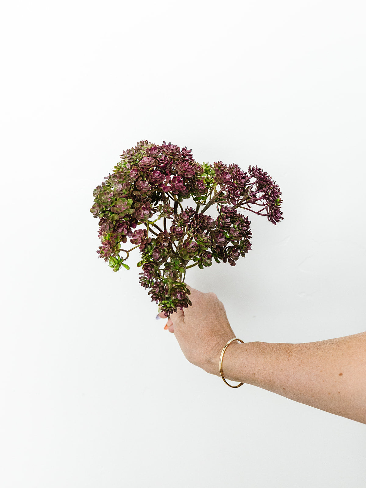 Purple Sedum Bush - 12.5"