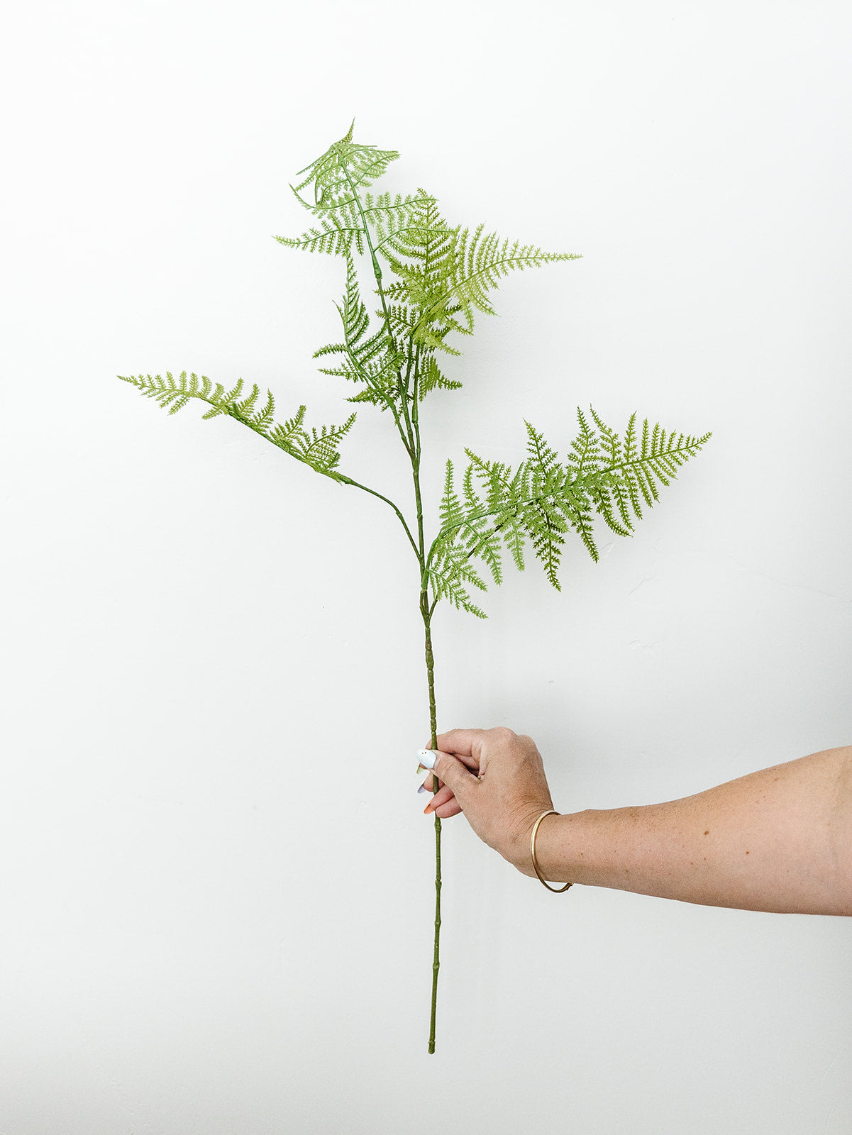 Asparagus Fern Spray - 34"