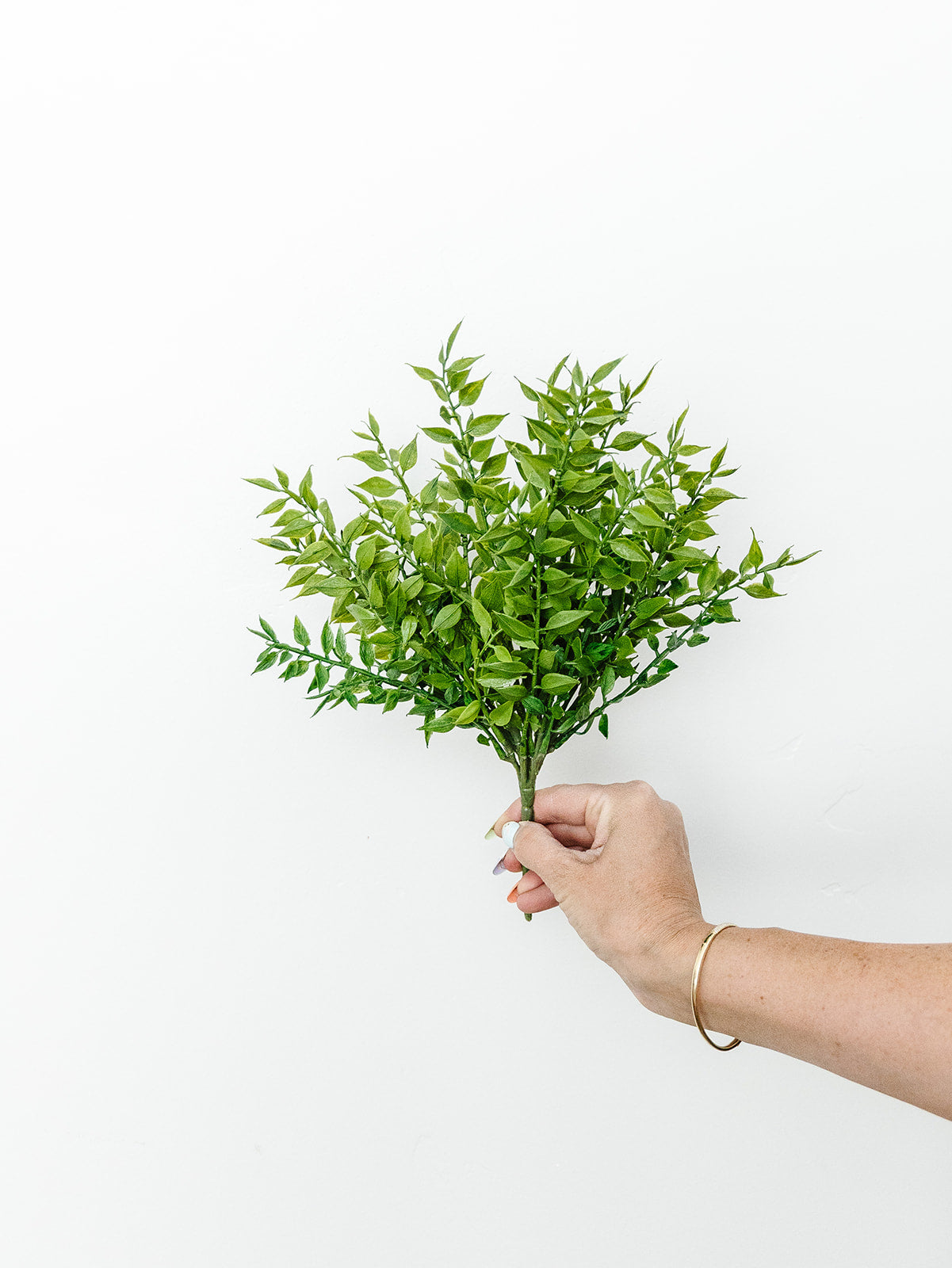 Ruscus Bush - 13"