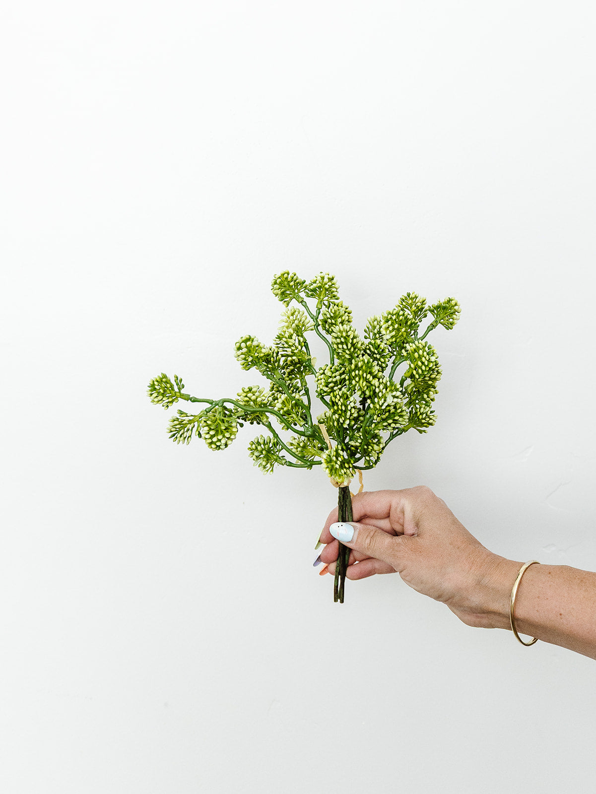 Soft Sedum Bundle - 11"