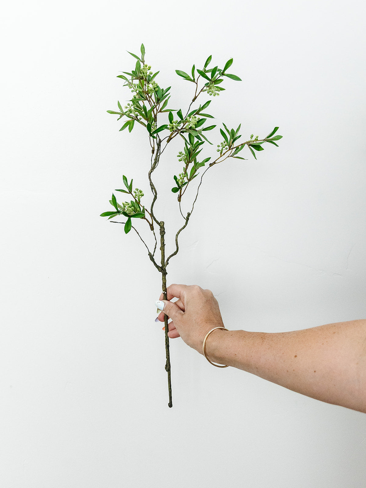 Privet Spray - 23"