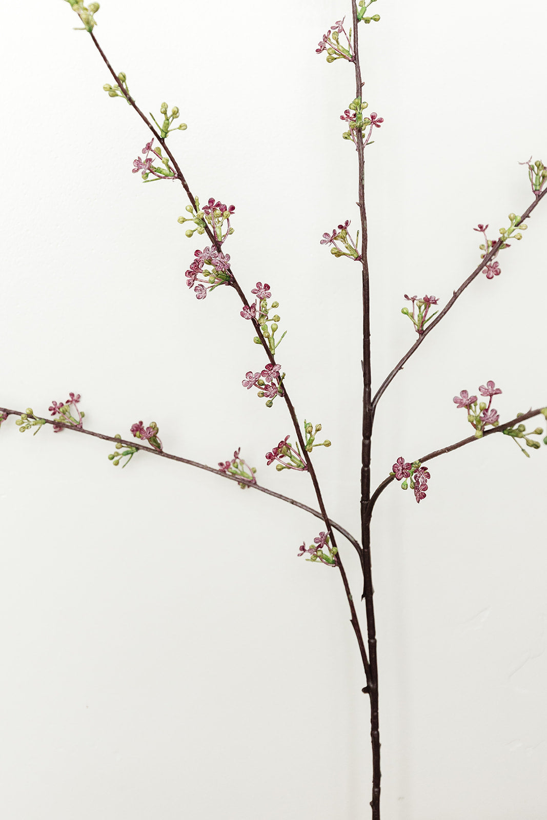 Purple Hoary Willow Spray - 46"