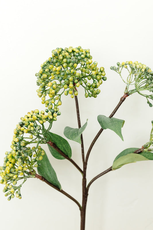 Green Sedum Spray - 16.5"