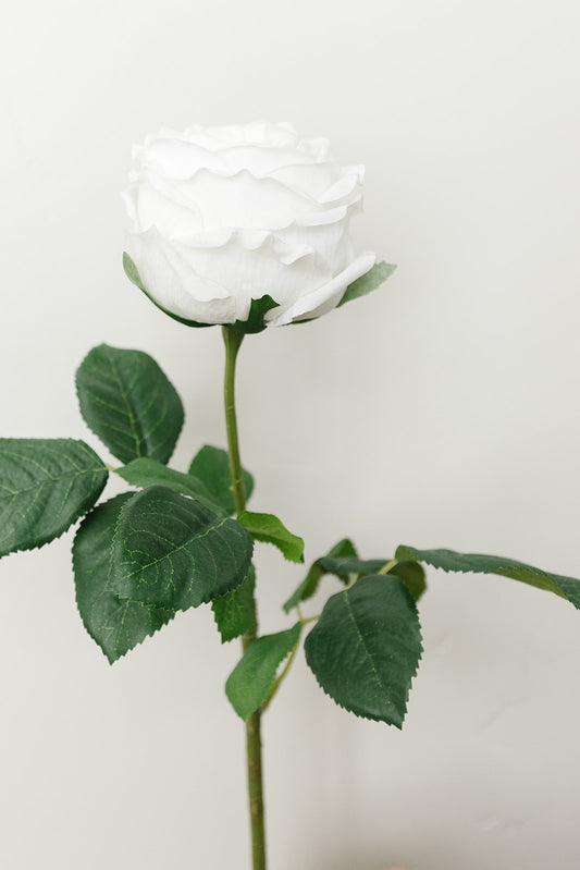 Real Touch Austin Rose Stem - 24" - White