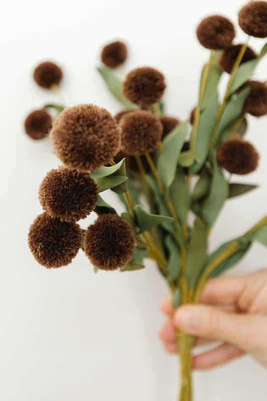 Dark Brown Pompom Pick - 6 Stems - 13"