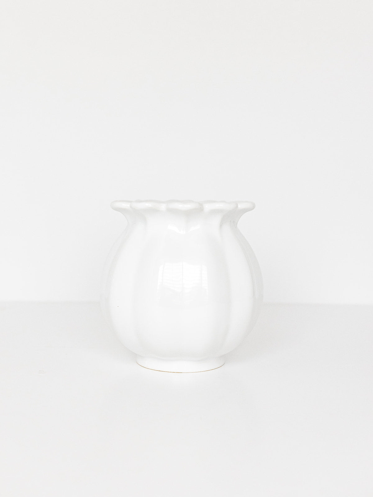 Scalloped Ivory Vase - 2 Sizes
