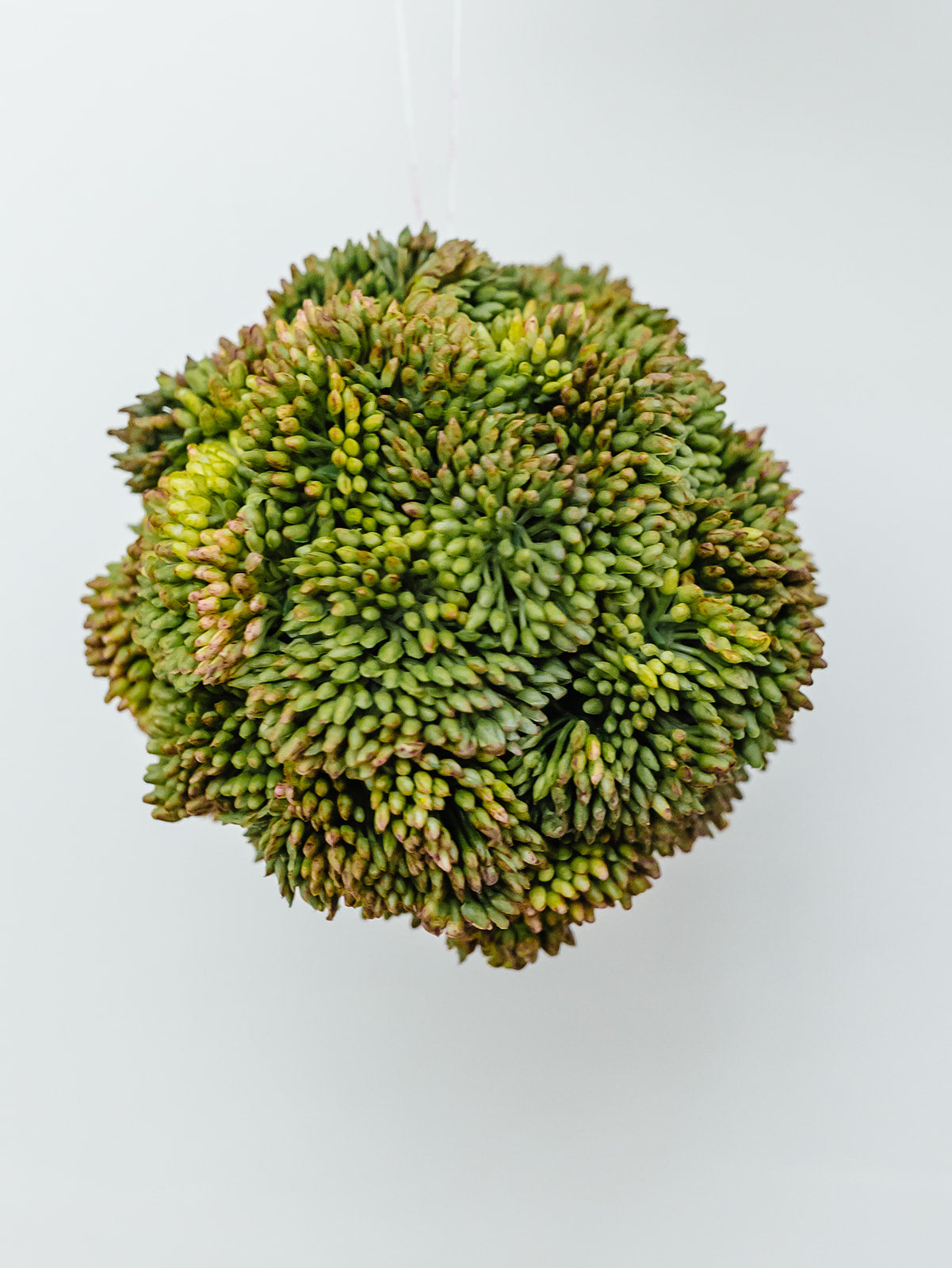 Dark Green Sedum Ball 4'
