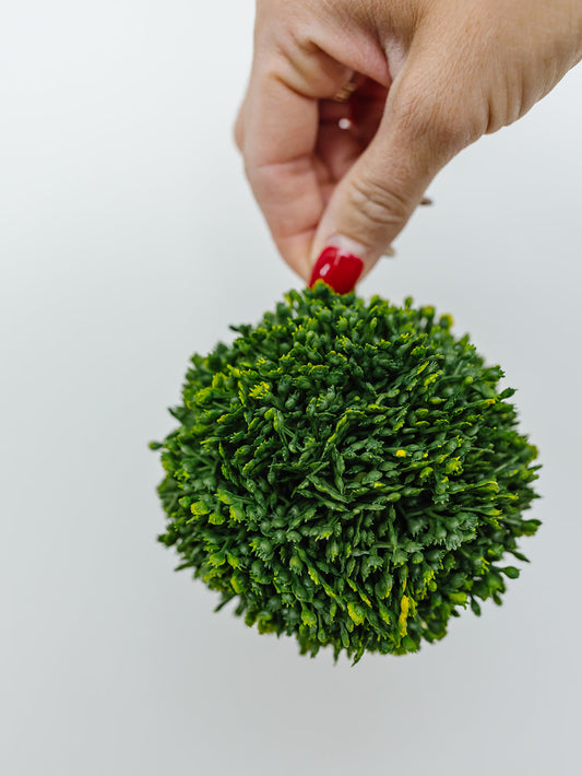 Sedum Ball 4"