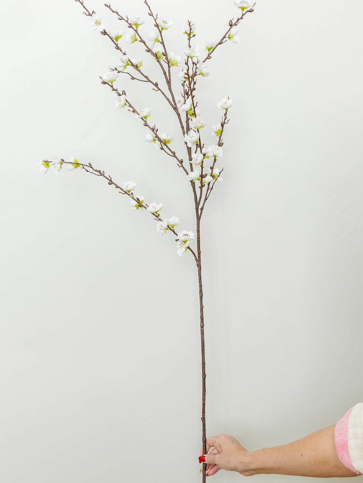 WHITE BLOSSOME Brillian Bara ホワイトブロッサム White Plum Cherry Blossom Spray - 39