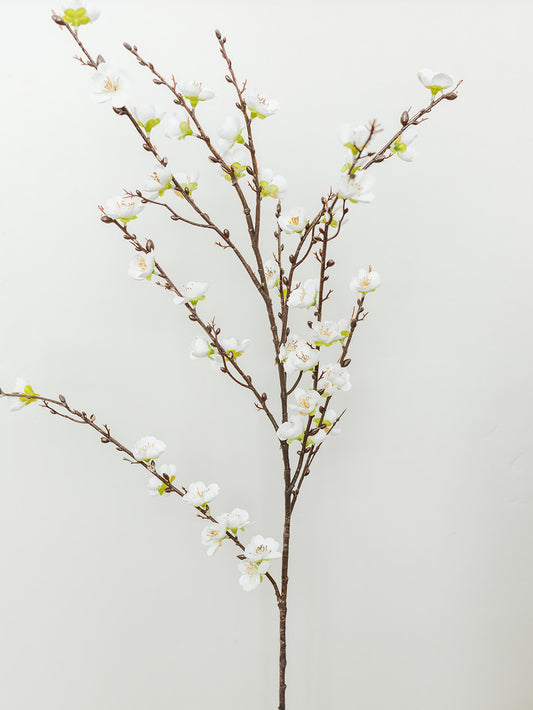 White Plum Cherry Blossom Spray - 39"