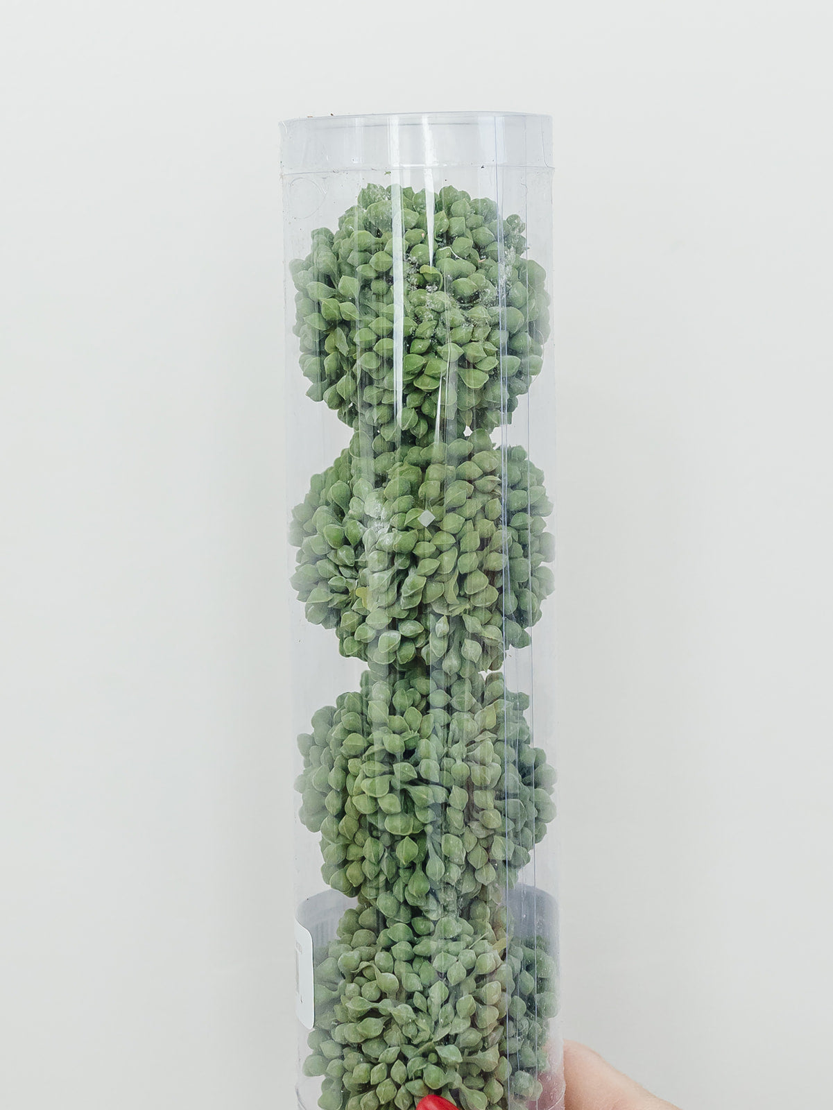 Sedum Orb - Set of 4
