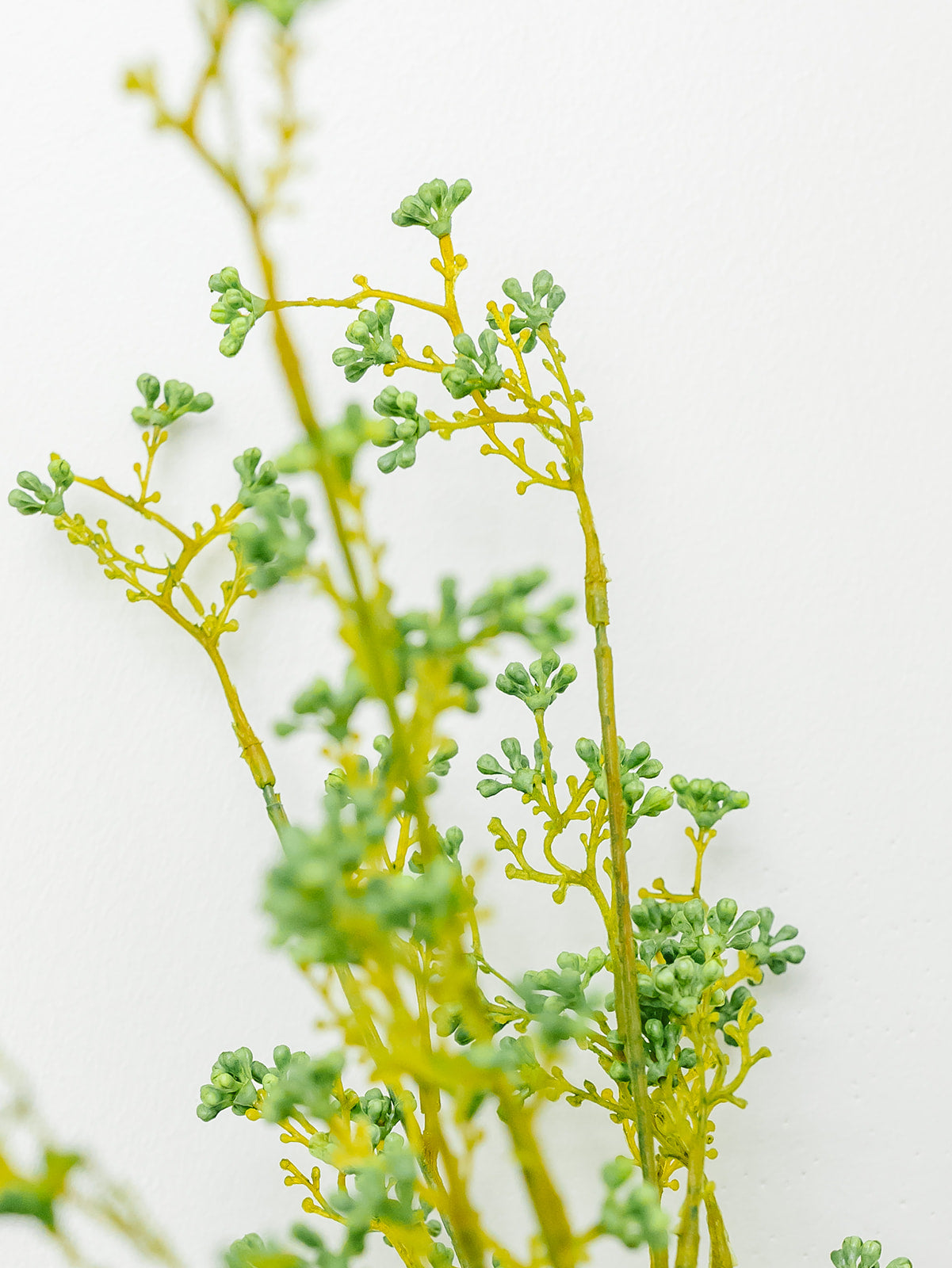 Green Berry Bush - 21"