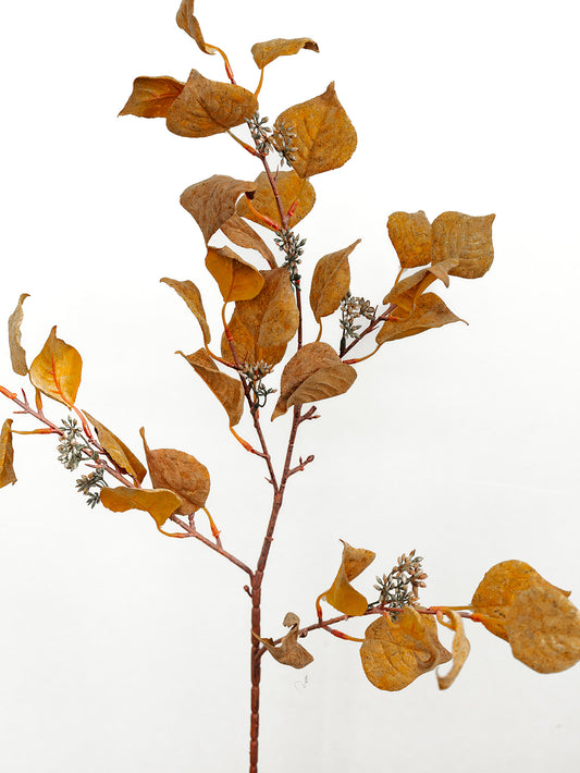 Mustard & Orange Silver Dollar Eucalyptus 38"