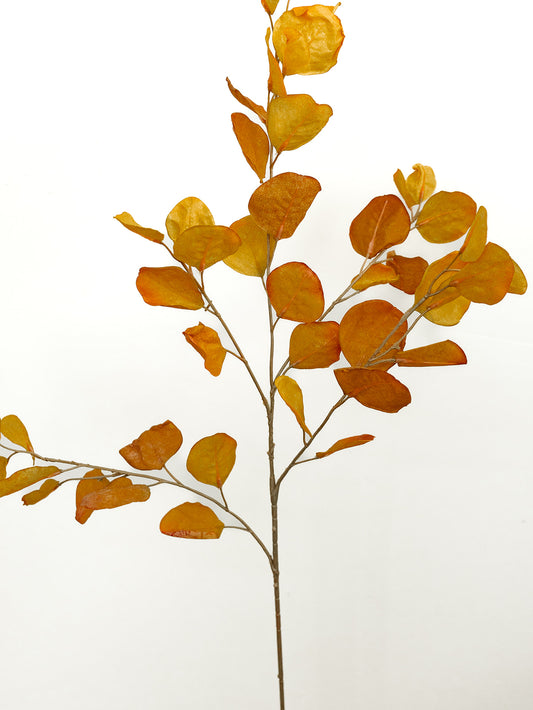 Orange Eucalyptus - 38.5"